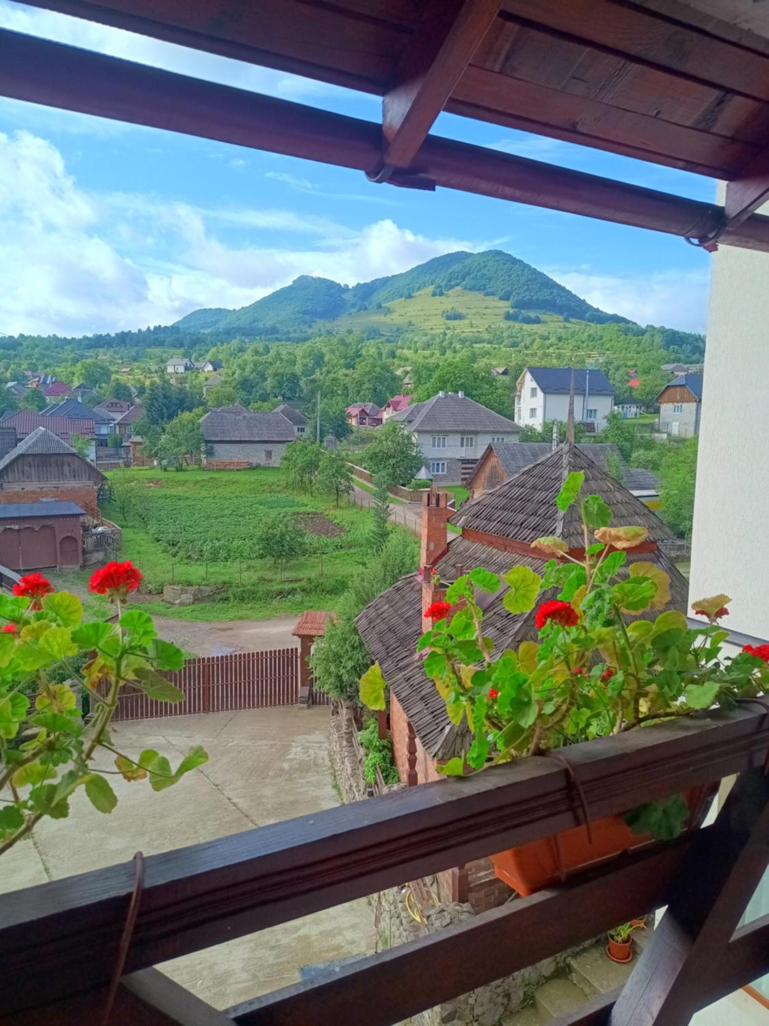 Pensiunea In Poiana Glod  Ngoại thất bức ảnh