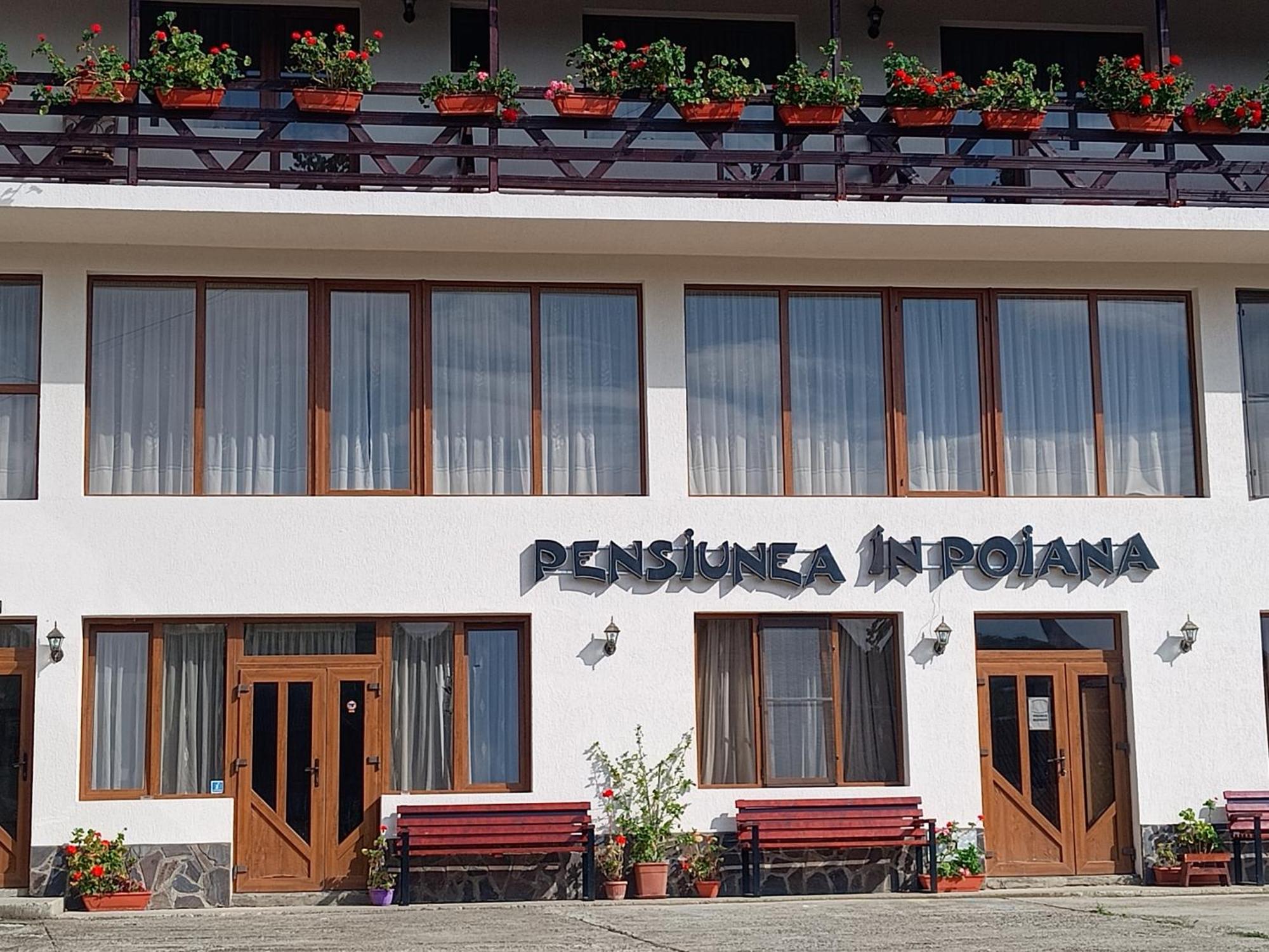Pensiunea In Poiana Glod  Ngoại thất bức ảnh